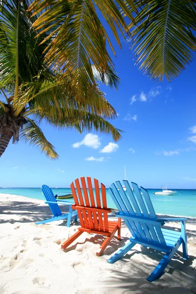 Beach — Stock Photo, Image