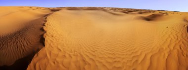 Sahara