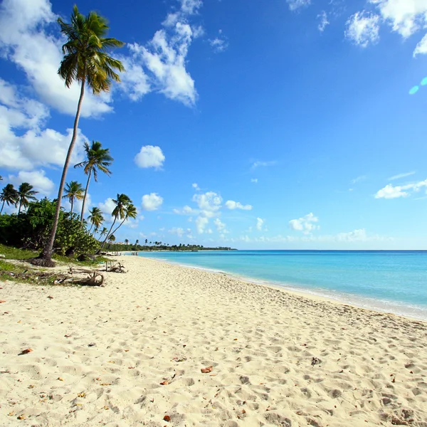 多米尼加共和国 — 图库照片