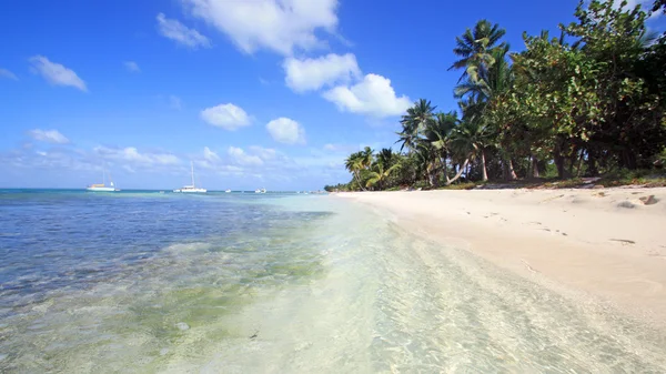 A ilha do paraíso — Fotografia de Stock