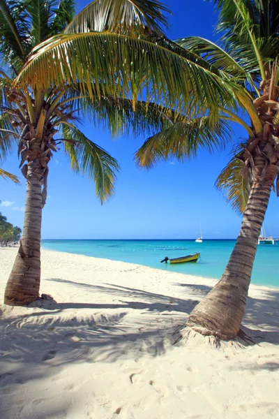 The island of paradise — Stock Photo, Image