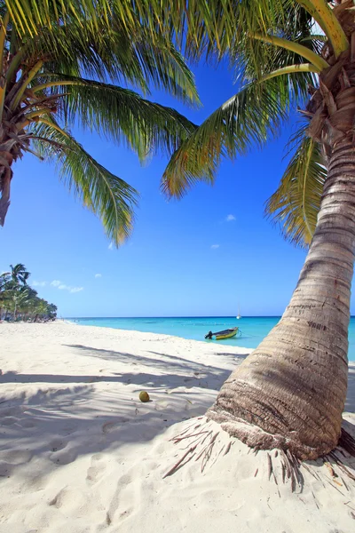 La isla del paraíso — Foto de Stock