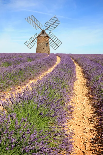 法国-valensole-lavandes — 图库照片