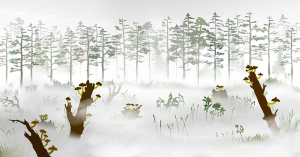 Marais dans le brouillard devant la forêt de pins. Illustration vectorielle silhouette de la tourbière avec arbres tombés, champignons, souches, champignons, herbe, plantes, bois à morining. Vecteur En Vente