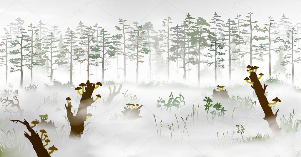 Swamp in the fog in front of the pine tree forest. Silhouette vector illustration of the bog with fallen trees, fungus, stumps, mushrooms, grass, plants, woods at morining.
