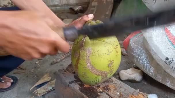 Rekaman Pembukaan Kelapa Dengan Senjata Tajam Dapat Digunakan Untuk Obat — Stok Video