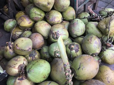 Genç hindistan cevizi oruç tutmak için uygundur..