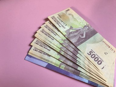Pembe arka planda dağıtım için yeni banknotlar.