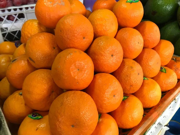 Neatly Arranged Citrus Fruits Sold Fruit Market Look Fresh — Stock Photo, Image