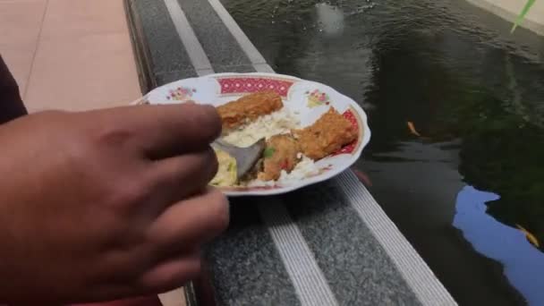 在鱼塘边吃早餐的镜头 — 图库视频影像