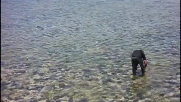 観光客が浜辺で貝を探しています — ストック動画