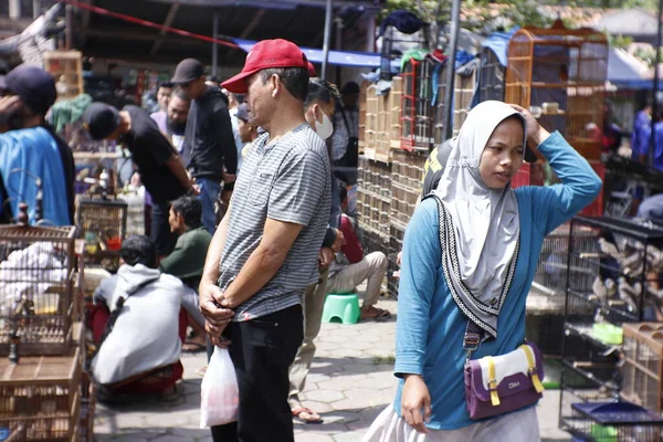 Kuş pazarındaki atmosfer ziyaretçilerle dolu..