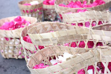 Sepetlerdeki güller genelde kutsal yolculuklar içindir.