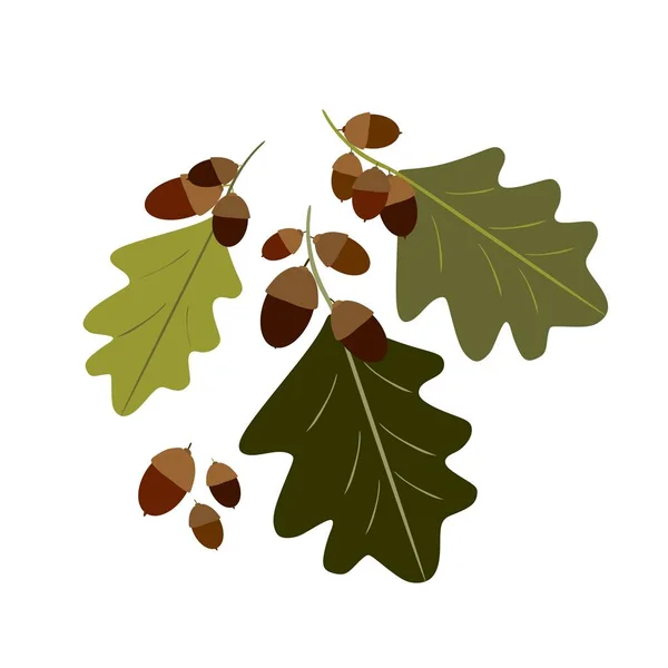 Branch Acorns Hand Drawn Contour Drawing Acorns Foliage — Stock Vector