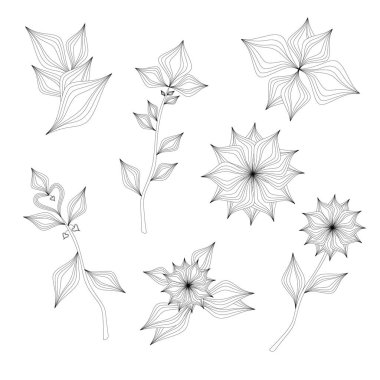 Abstract botanical set of line branches and leaves. Plants in continuous line style.