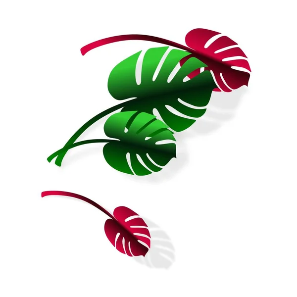 热带树叶呈白色背景 孤立的水果形象 在岛上度假 海滩和植物 绿色和深红色的叶子 — 图库矢量图片
