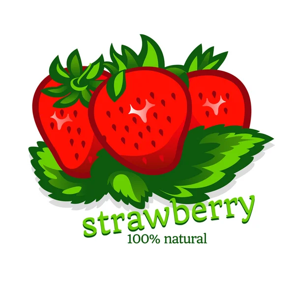 Beautiful strawberries. — Stock Vector