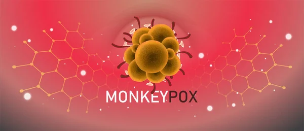 Monkeypox Virus Banner Awareness Alert Disease Spread Symptoms Precautions Monkey Ліцензійні Стокові Вектори