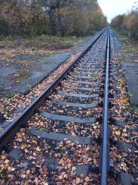 Eski demiryolu uzaklara, ufka, sabah Rusya 'ya gidiyor.