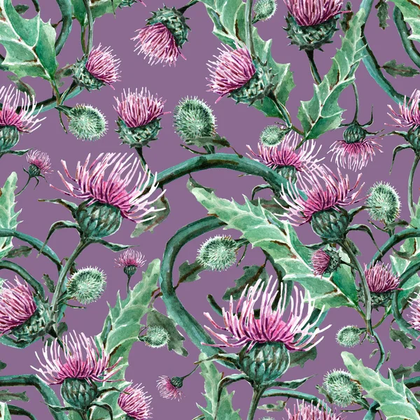 Aquarell Illustration Nahtloses Muster Platzende Blüten Aus Klette Dorn Blatt — Stockfoto