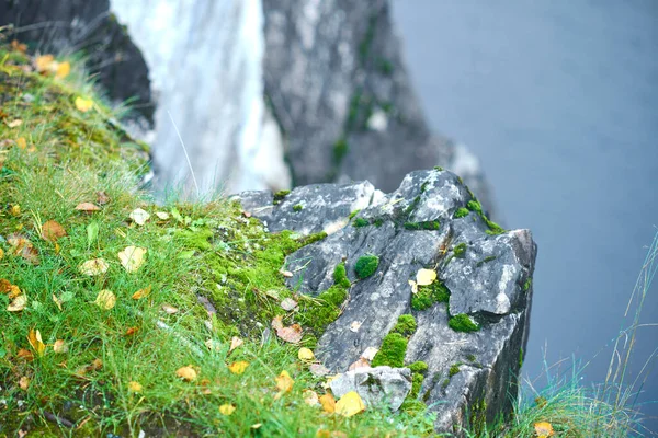 Un trozo de roca de mármol, cubierto de musgo y hojas amarillas caídas, junto a un estanque. Fondo borroso, efecto art bokeh —  Fotos de Stock