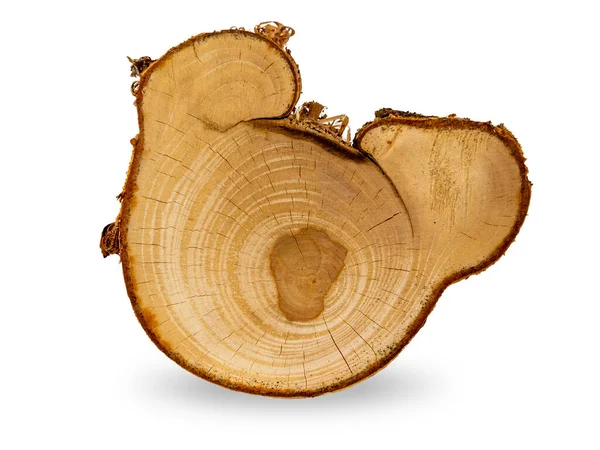 Wooden cut of a birch tree looks like a face of a mouse — Stock Photo, Image