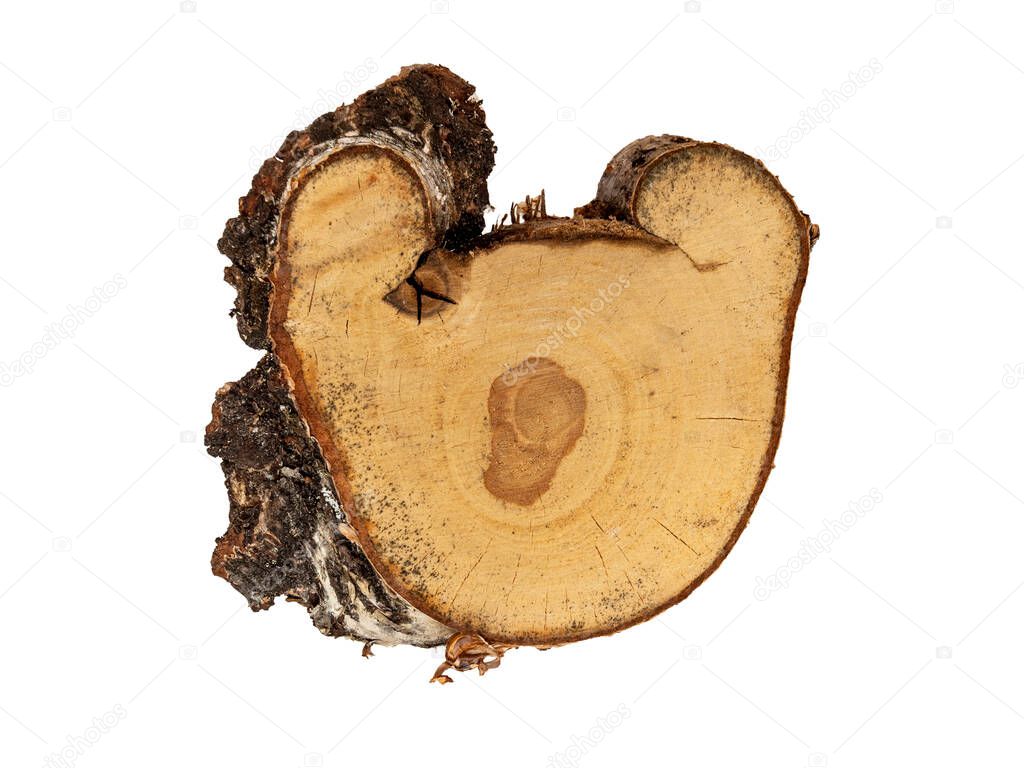 Wooden cut of a birch tree looks like a face of a mouse