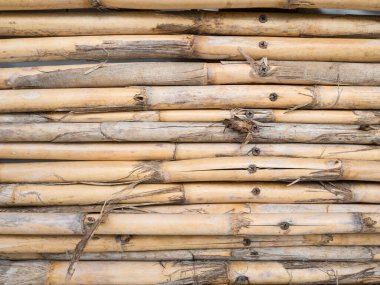 Bambu bungalov yazlık duvarının açık kahverengi yatay dokusu