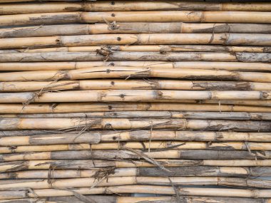 Bambu bungalov yazlık duvarının açık kahverengi yatay dokusu