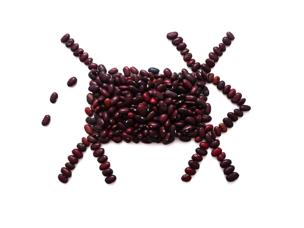 Beyaz arka planda fasulye ineği, bitki bazlı et, vegan eti, yapay et.