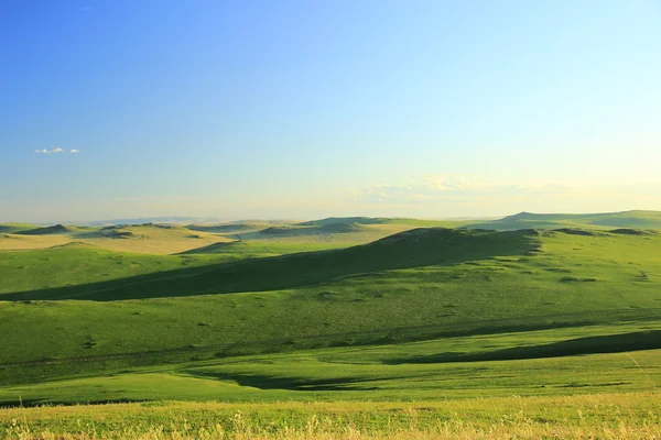 Grüner Yonder — Stockfoto