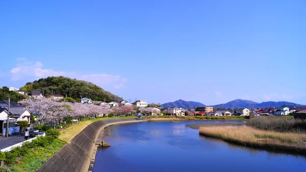 Belle nature au Japon — Photo