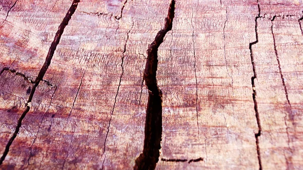 Holz Textur, Vintage Hintergrund — Stockfoto