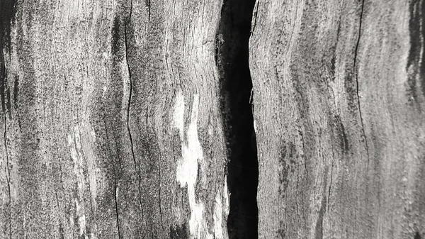 Текстура дерева, винтажный фон — стоковое фото