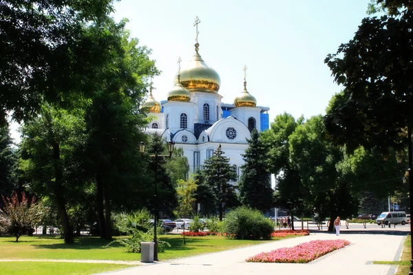 Catedrala Alexander Nevsky — Fotografie, imagine de stoc