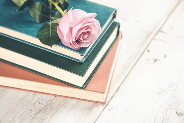 Rosas Cor Rosa Sobre Livro Azul Mesa — Fotografia de Stock
