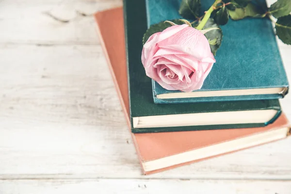 Rosas Cor Rosa Sobre Livro Azul Mesa — Fotografia de Stock