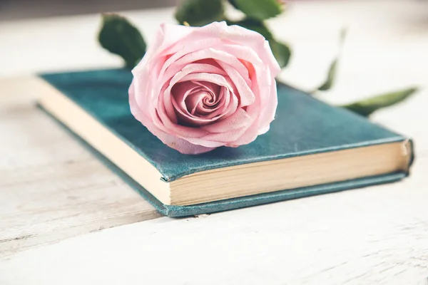 桌上蓝皮书上的粉红玫瑰 — 图库照片