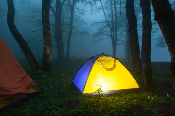霧を背景にした夜の森のテント — ストック写真