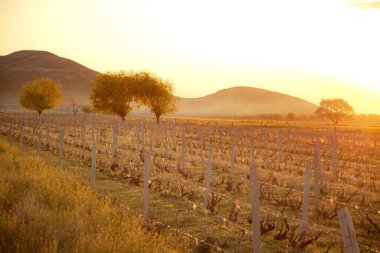 Güzel günbatımında dağlı manzara