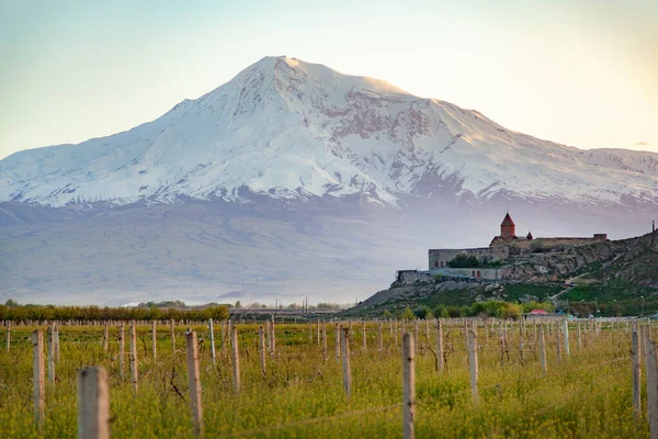 Khor Virap Ile Güzel Ararat Dağı — Stok fotoğraf