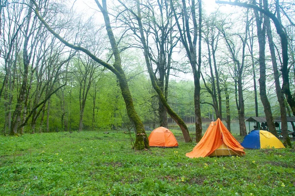 森林里有湖泊的帐篷 — 图库照片