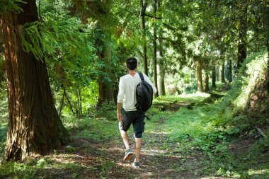 Yeşil ormanda insan gezgini