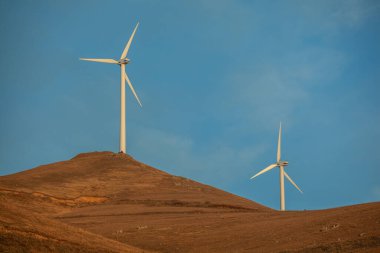 buğday tarlalarındaki modern yel değirmenleri
