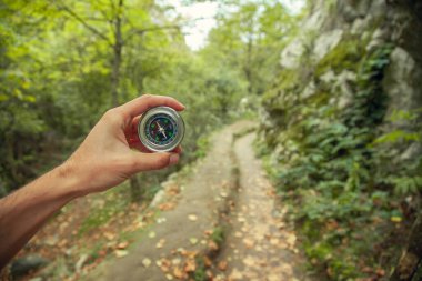 Adam el pusulası orman arka planında