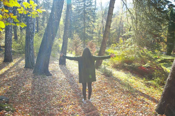 Happy Woman Colorful Autumn Forest —  Fotos de Stock