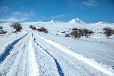 snowy road in the winter season