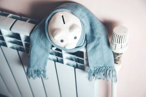 Piggy Bank Scarf Heating System — ストック写真