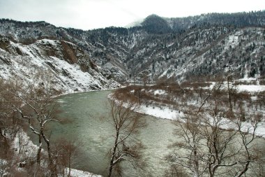 Kış arka planında ormanlı göl 