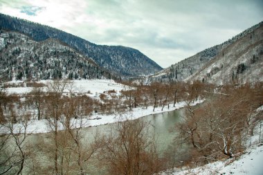 Kış arka planında ormanlı göl 